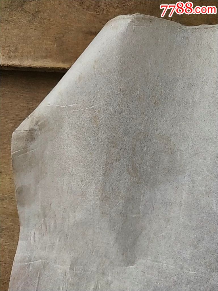温州皮纸